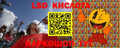 индика Брянск