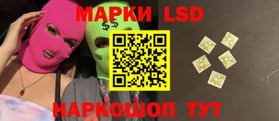 индика Брянск
