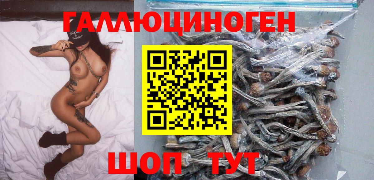 Новоалександровск  Псилоцибиновые грибы мухоморы  Вход с VPN 