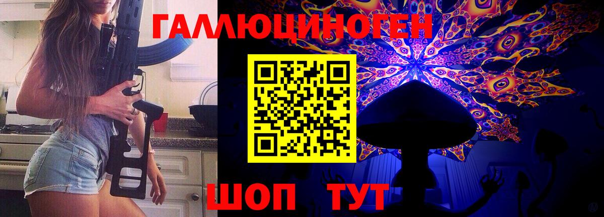 Псилоцибиновые грибы ЛСД Новоалександровск